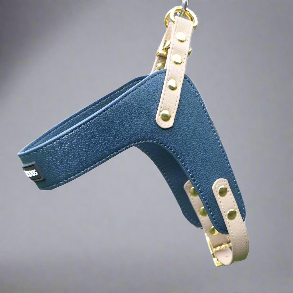 VEGAN Step In Harness Cavlicious vegan leather dog step in harness blue