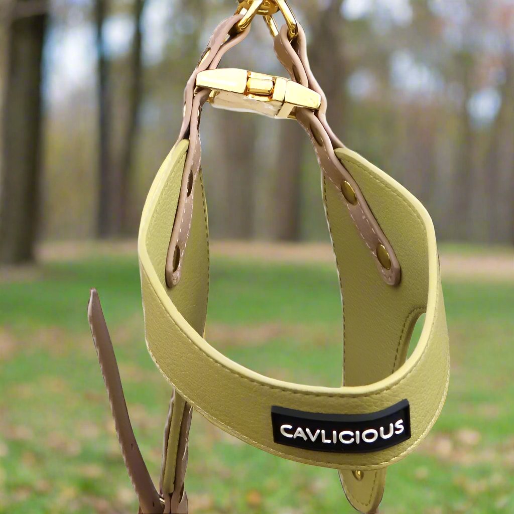 VEGAN Step In Harness Cavlicious vegan leather dog step in harness yellowgreen