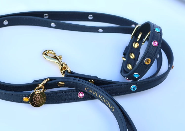 VEGAN Bundle Collar and Leash Cavlicious Cavlicious EUR Belgium Blue XS Blue / XS Blue / S yellowgreen / XS yellowgreen / S