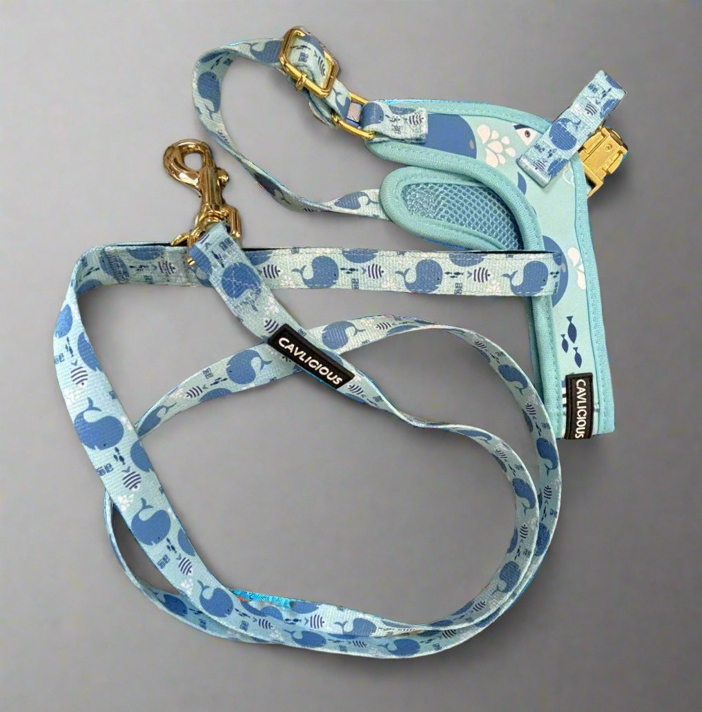 The Wag&amp;Wonder step in harness offers both style and comfort for your furry friend. With a choice between colorful sealife or dinosaur prints, this harness features adjustable straps and padded lining for a snug and comfortable fit. Made with durable metal hardware, it is also machine washable for easy maintenance. This harness comes with a matching leash from 1.50m long, with neoprene padded handle.&nbsp;