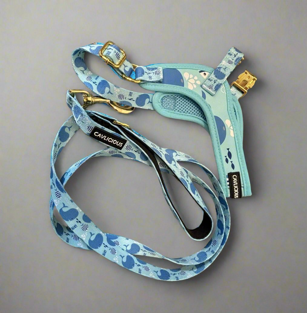 The Wag&amp;Wonder step in harness offers both style and comfort for your furry friend. With a choice between colorful sealife or dinosaur prints, this harness features adjustable straps and padded lining for a snug and comfortable fit. Made with durable metal hardware, it is also machine washable for easy maintenance. This harness comes with a matching leash from 1.50m long, with neoprene padded handle.&nbsp;