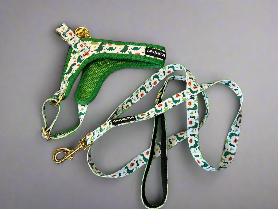 The Wag&amp;Wonder step in harness offers both style and comfort for your furry friend. With a choice between colorful sealife or dinosaur prints, this harness features adjustable straps and padded lining for a snug and comfortable fit. Made with durable metal hardware, it is also machine washable for easy maintenance. This harness comes with a matching leash from 1.50m long, with neoprene padded handle.&nbsp;