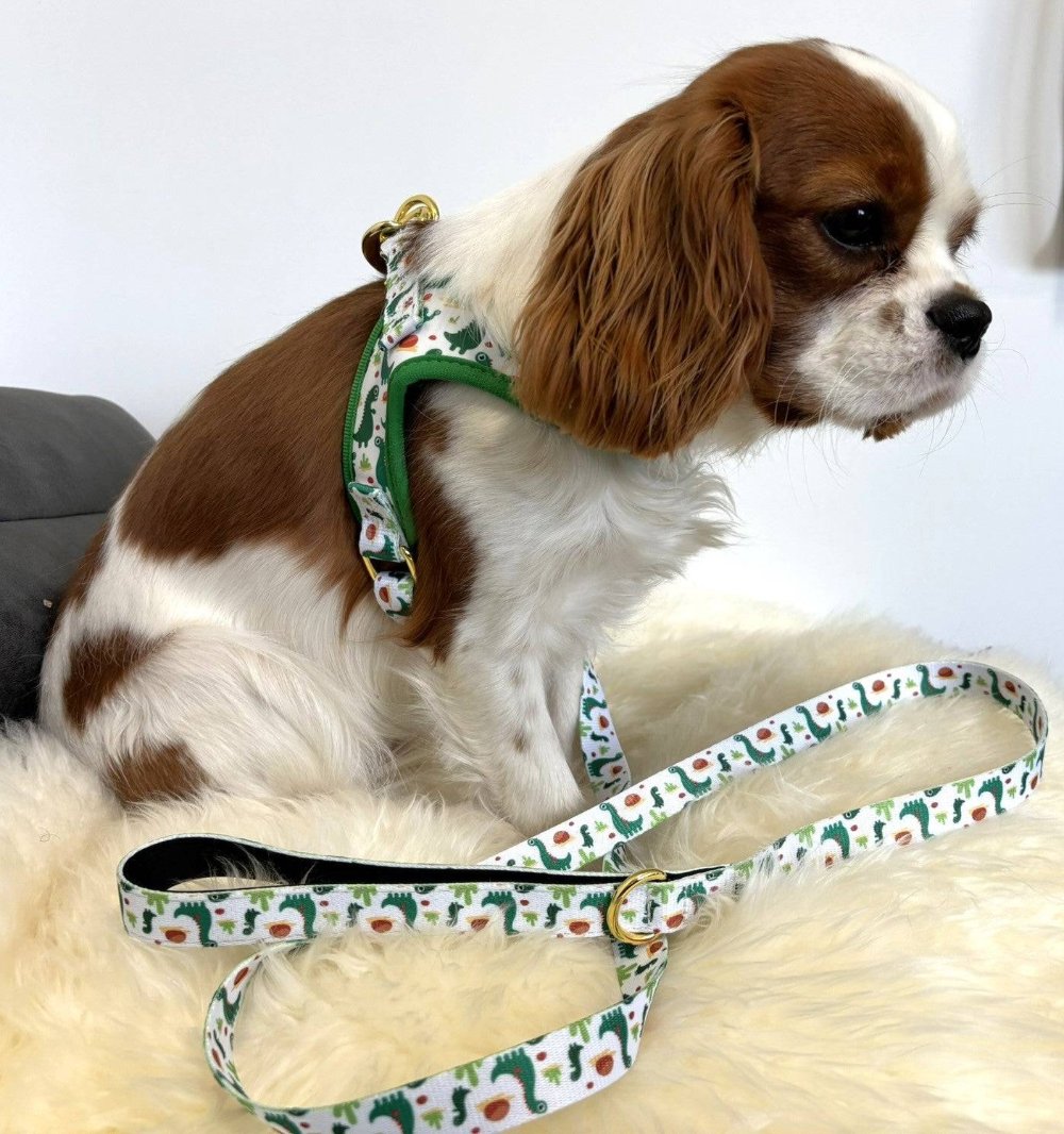 The Wag&amp;Wonder step in harness offers both style and comfort for your furry friend. With a choice between colorful sealife or dinosaur prints, this harness features adjustable straps and padded lining for a snug and comfortable fit. Made with durable metal hardware, it is also machine washable for easy maintenance. This harness comes with a matching leash from 1.50m long, with neoprene padded handle.&nbsp;