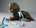 The Wag&Wonder step in harness offers both style and comfort for your furry friend. With a choice between colorful sealife or dinosaur prints, this harness features adjustable straps and padded lining for a snug and comfortable fit. Made with durable metal hardware, it is also machine washable for easy maintenance. This harness comes with a matching leash from 1.50m long, with neoprene padded handle. 