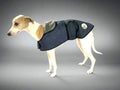 water and windproof jacket suitable for greyhound, dachshund, corgi. closes with hook-and-loop on chest and under belly.