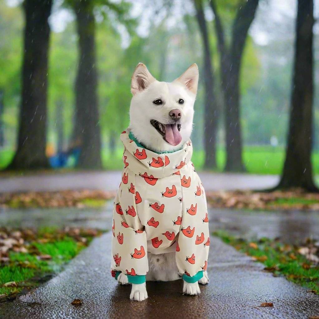 cute dog with a blue raincoat