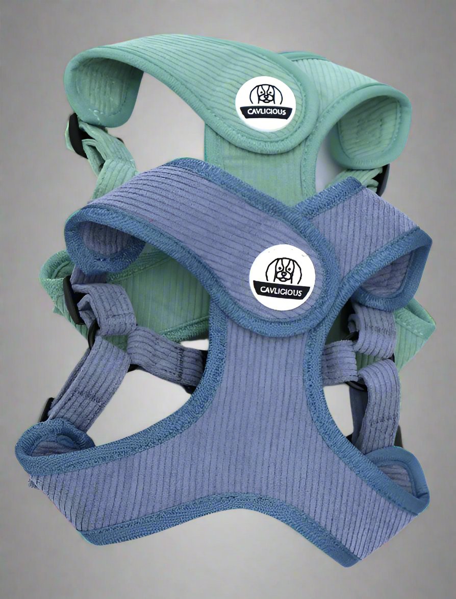 The X-TRA DOG HARNESS is a Belgian-designed dog harness with a soft corduroy material to ensure comfort for your dog. The unique step-in system relieves pressure from the dog's trachea, promoting healthy breathing. Say goodbye to uncomfortable traditional harnesses and hello to a happier, healthier dog.