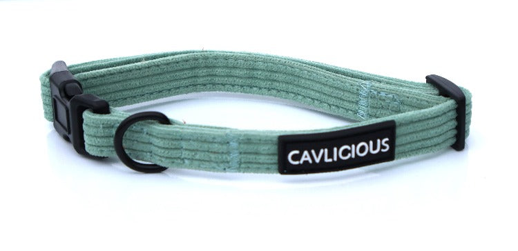 X-TRA Corduroy Collar Cavlicious Cavlicious EUR Belgium Blue S Blue / S Blue / M Green / S Green / M 06423775201366 06423775234134 06423775266902 06423775299670