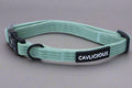 X-TRA Bundle Collar Cavlicious 