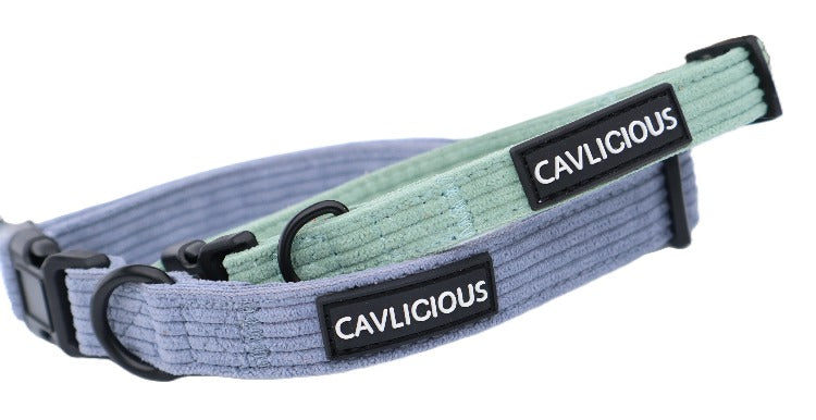 X-TRA Corduroy Collar Cavlicious Cavlicious EUR Belgium Blue S Blue / S Blue / M Green / S Green / M 06423775201366 06423775234134 06423775266902 06423775299670