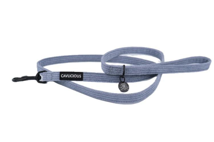 X-TRA Corduroy Leash Cavlicious Cavlicious EUR Belgium Blue Blue Green 06423778516694 06423774839126