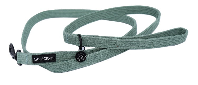 X-TRA Corduroy Leash Cavlicious Cavlicious EUR Belgium Blue Blue Green 06423778516694 06423774839126