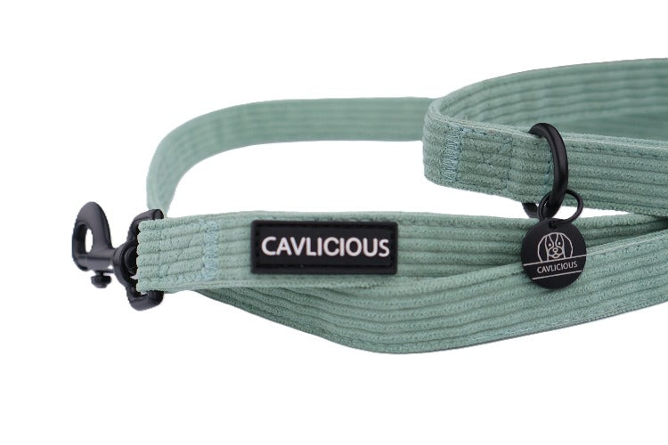 X-TRA Corduroy Leash Cavlicious Cavlicious EUR Belgium Blue Blue Green 06423778516694 06423774839126