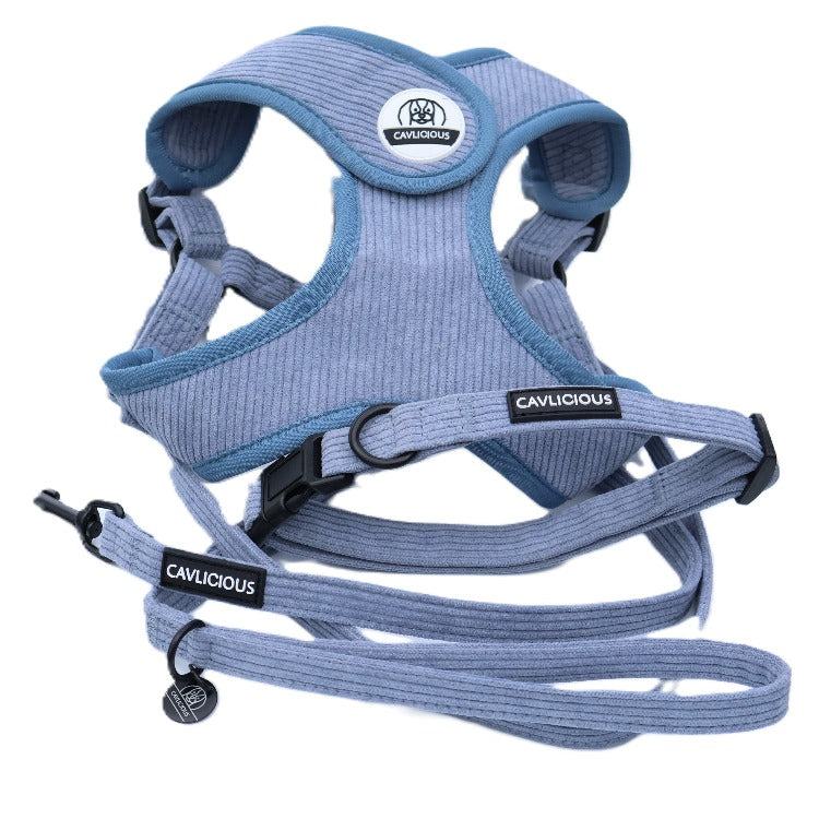 X-TRA Bundle Harness Cavlicious Cavlicious EUR Belgium Blue S Blue / S Blue / M Green / S Green / M