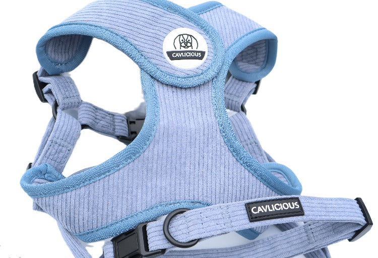 X-TRA Bundle Harness Cavlicious Cavlicious EUR Belgium Blue S Blue / S Blue / M Green / S Green / M